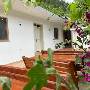  Pensión Thethi Mountain