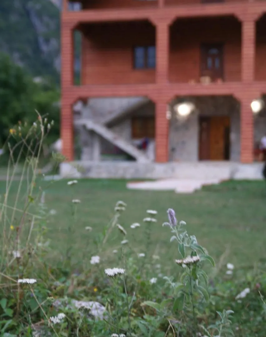 Affittacamere Hotel Bujtina Dreni Theth