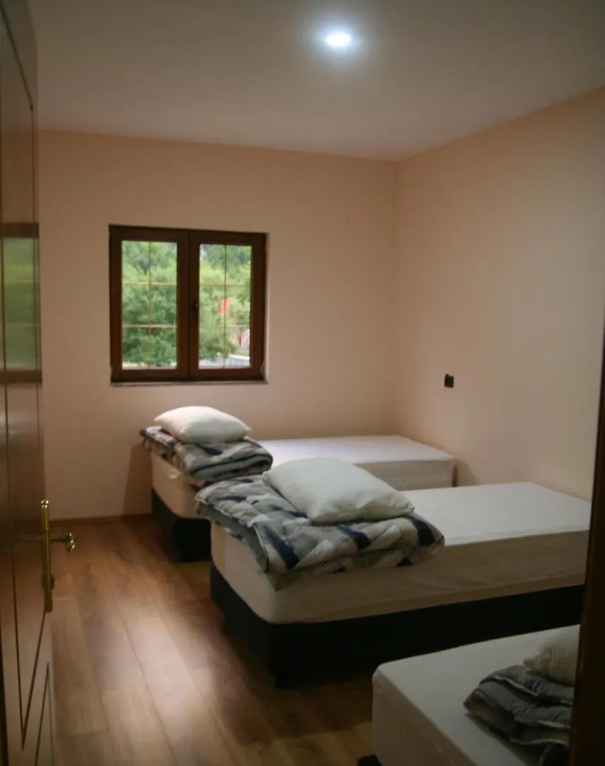 Hotel Bujtina Dreni Theth 0*,  Albania