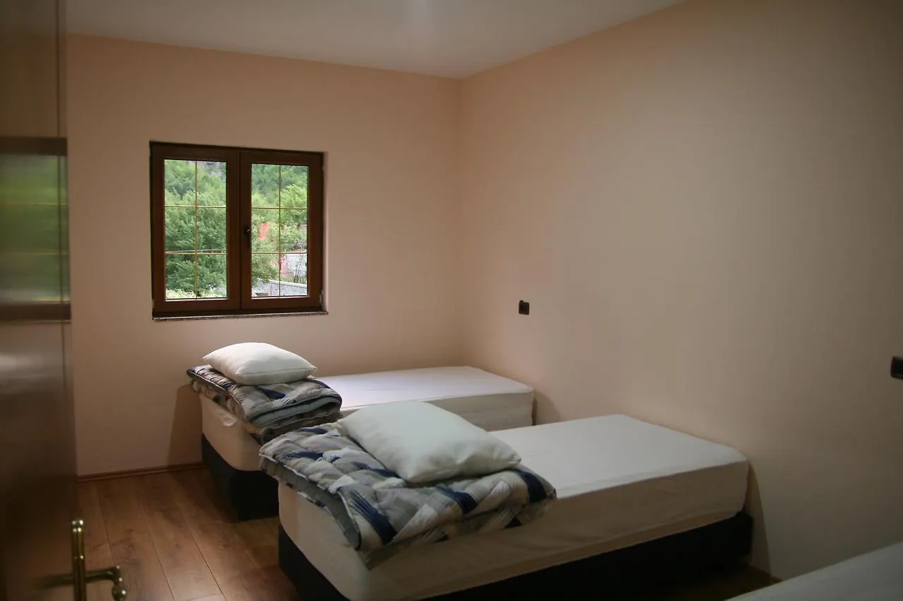 Hotel Bujtina Dreni Theth